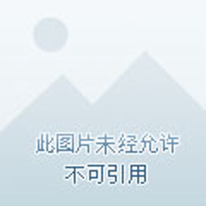 在数字化时代,药品零售业正经历着前所未有的变革。
